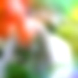 Vanillasunshine photo