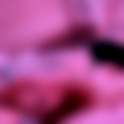 Norah TGD Grayson photo