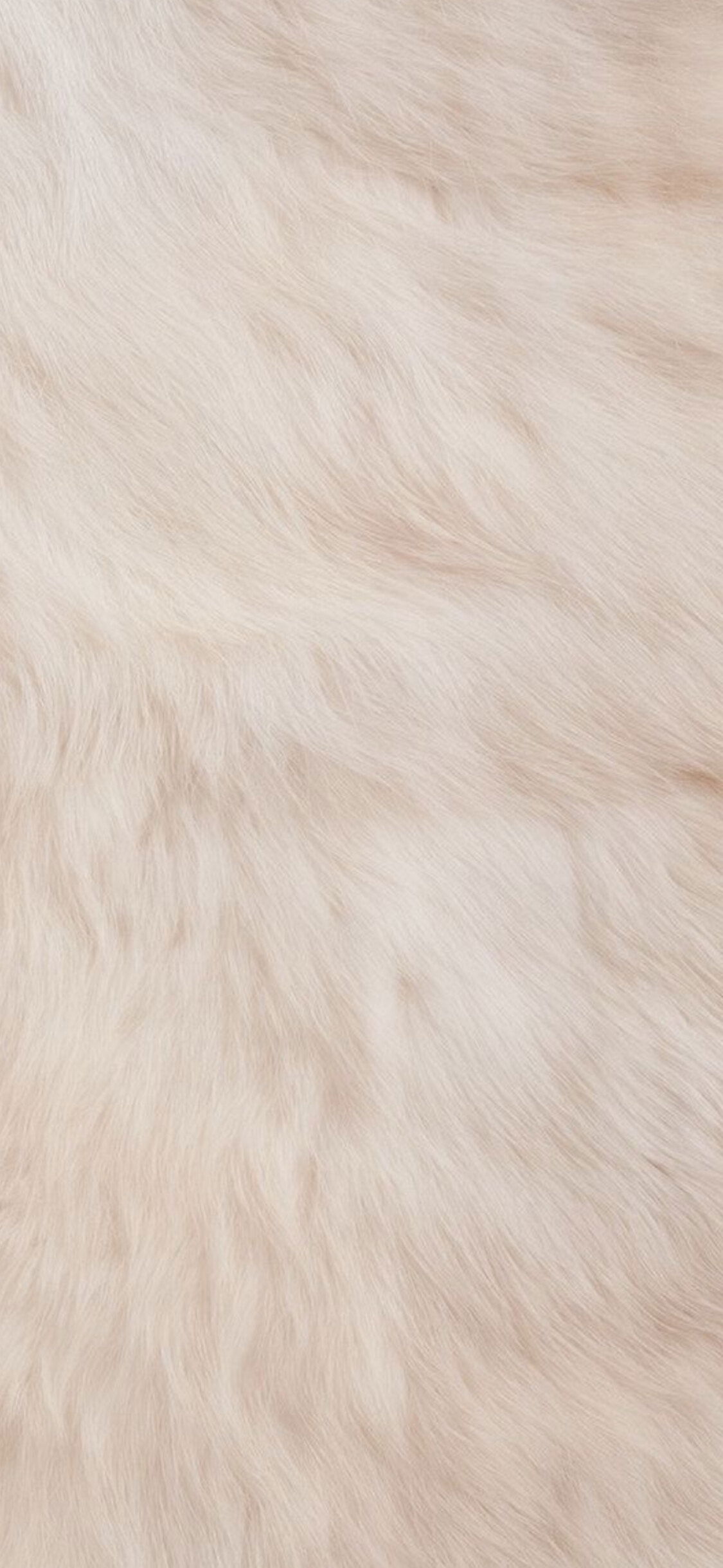 Yledream🩵🌫️ photo