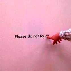 Brown Eyed Girl photo