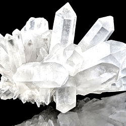 Lavender Honey photo