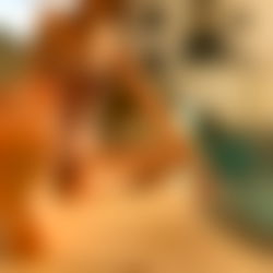 Cassie ₊˚⊹♡₊ photo