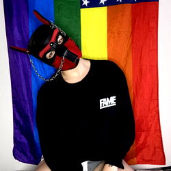 Pup Jacks: The Leather-Clad Canine Muse in a Rainbow Flag Backdrop, Representing the Texas Gay Scene