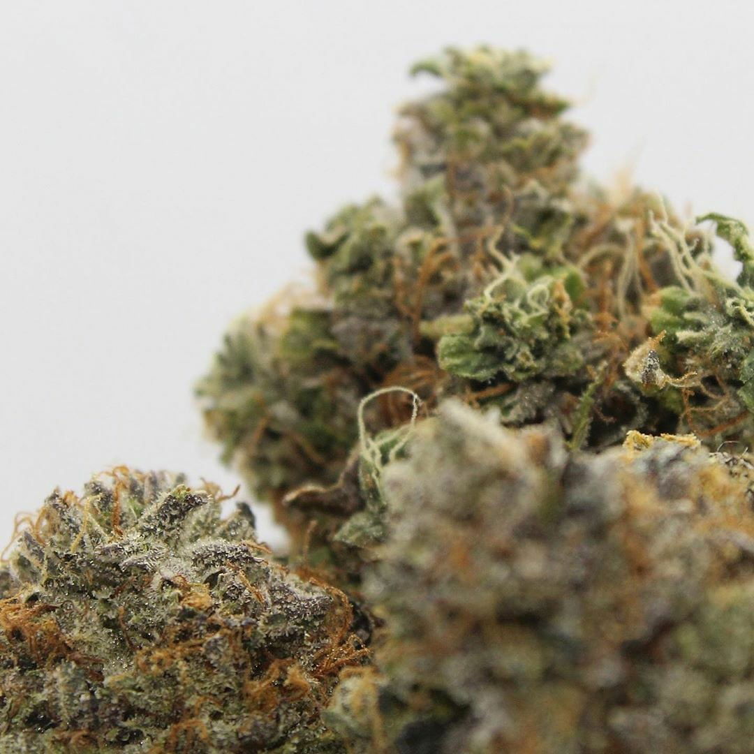 Boobs.n.Blunts photo