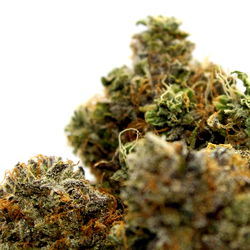 Boobs.n.Blunts photo