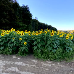 It’sahotgirlsummer photo