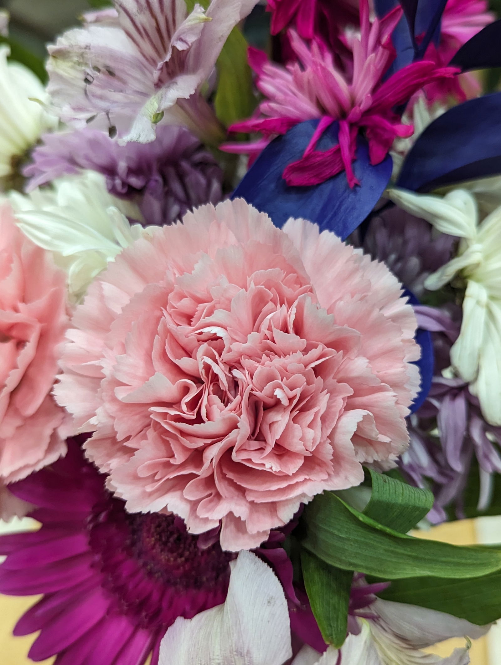 Chrissy🍀🌟 photo