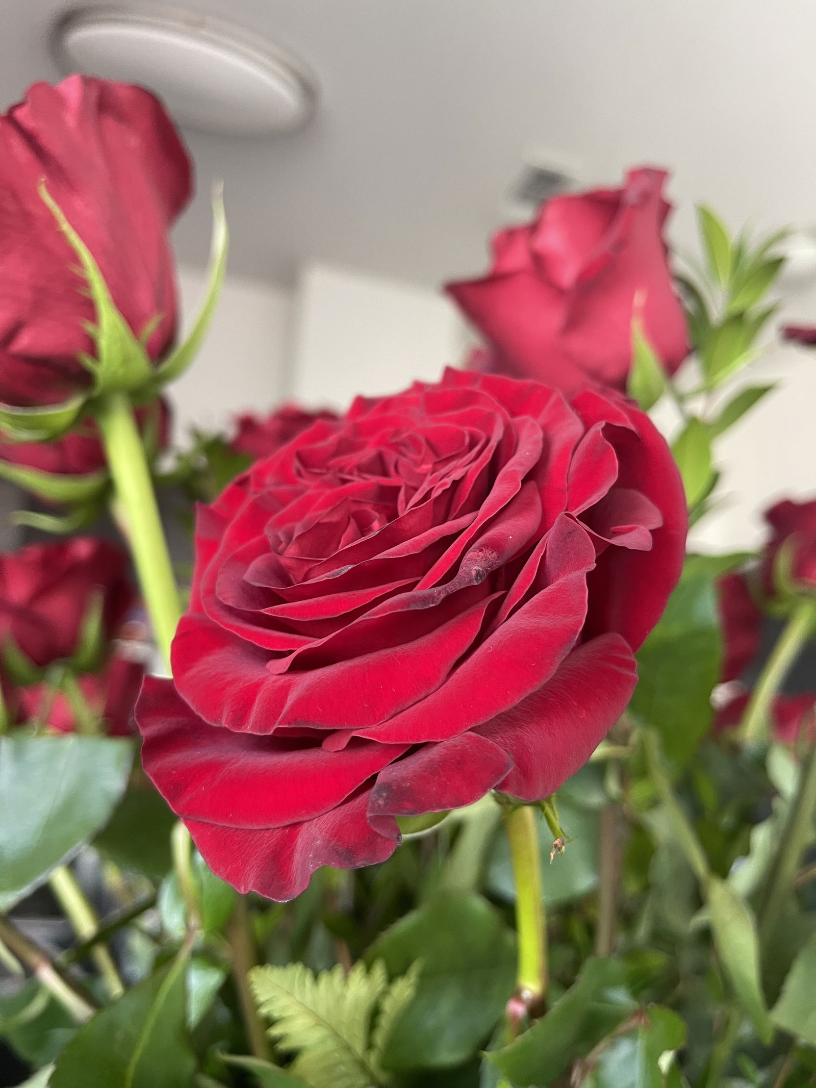 Kory Minx 🦚 photo