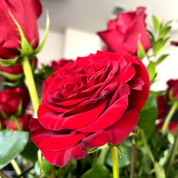 Kory Minx 🦚 photo