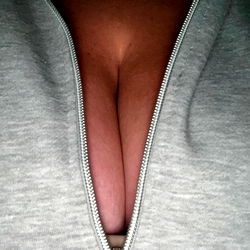 Dorset Model Gem Unzips