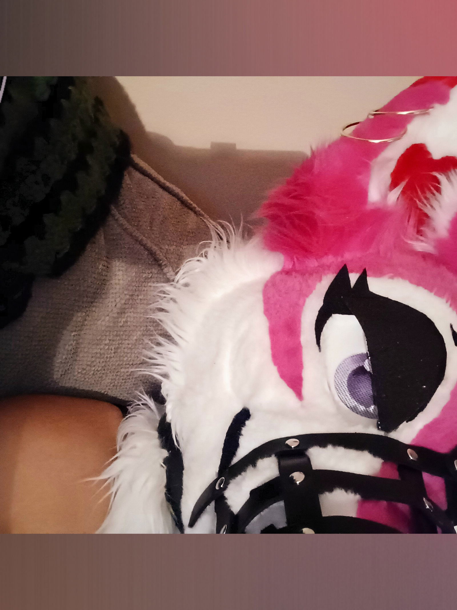 🌼 BIFelicia 🌼 photo