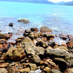 Guinevere de Camelot photo