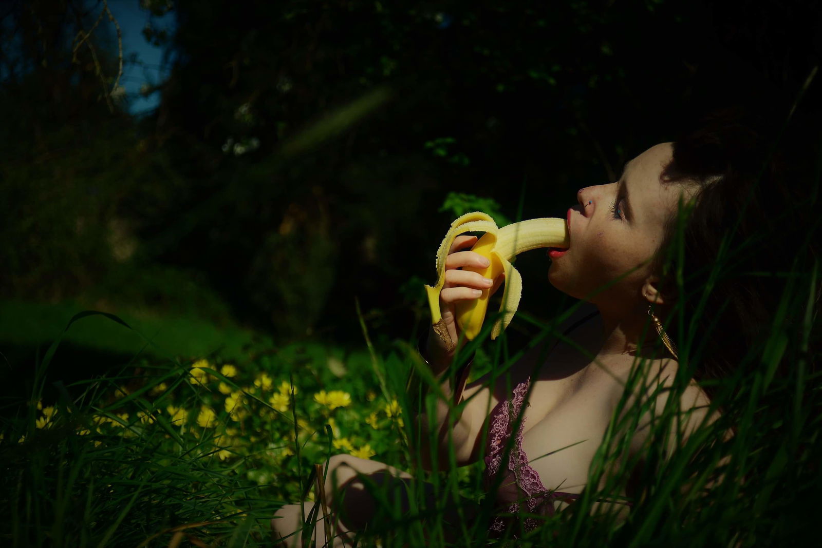 Clover bloom 2.0 photo