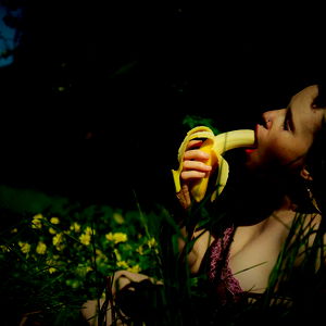 Clover bloom 2.0 photo