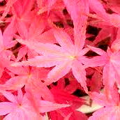 Cheyanne Elise 🤍❄️🐰 photo