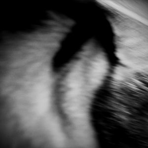 โ $ ๐ค๐ฟ ๐ธ photo