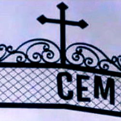 Brynlee-kate ✨ photo