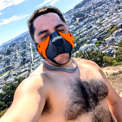 Animal-themed Fitness Enthusiast in San Francisco