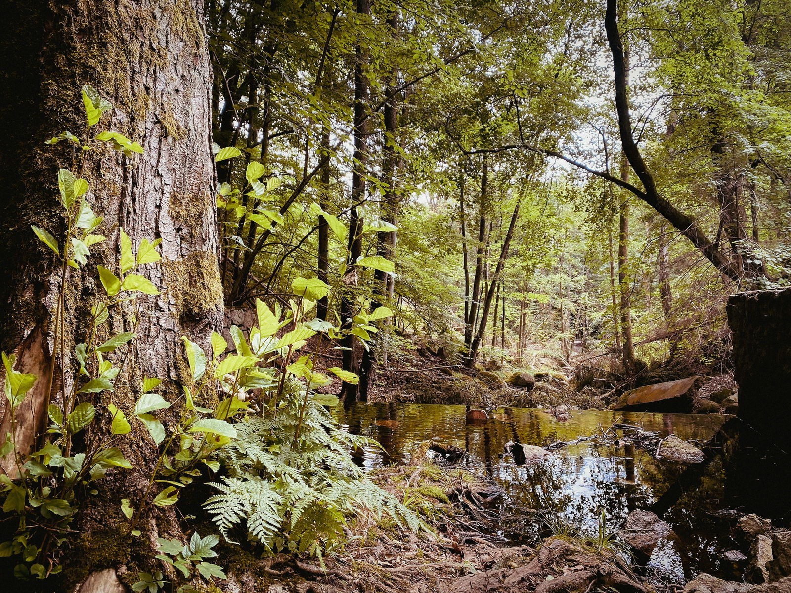 px_graphics_ — photo