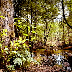 px_graphics_ — photo