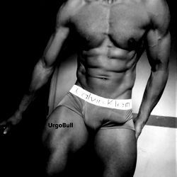 Fit and Shredded Model, URGOBULL