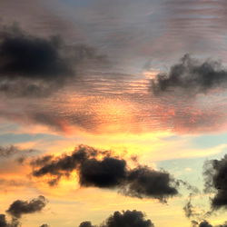 Joseph Castlian photo