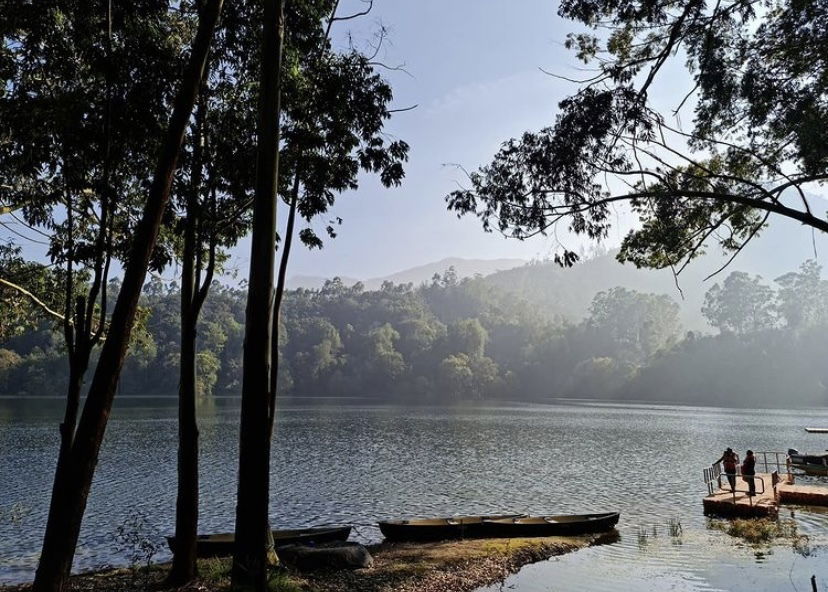 Grey Sweatpants &amp; Carhartts photo