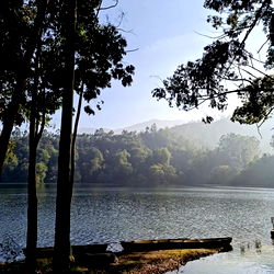 Grey Sweatpants &amp; Carhartts photo