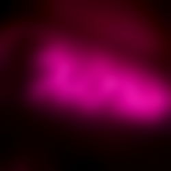 natalie โฆ photo