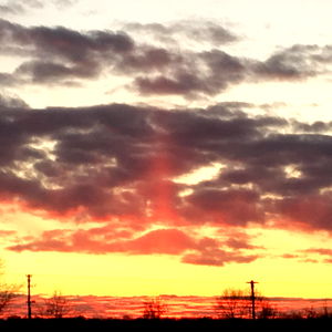 Irisโค๏ธ photo