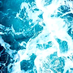 At least 14 sharks photo