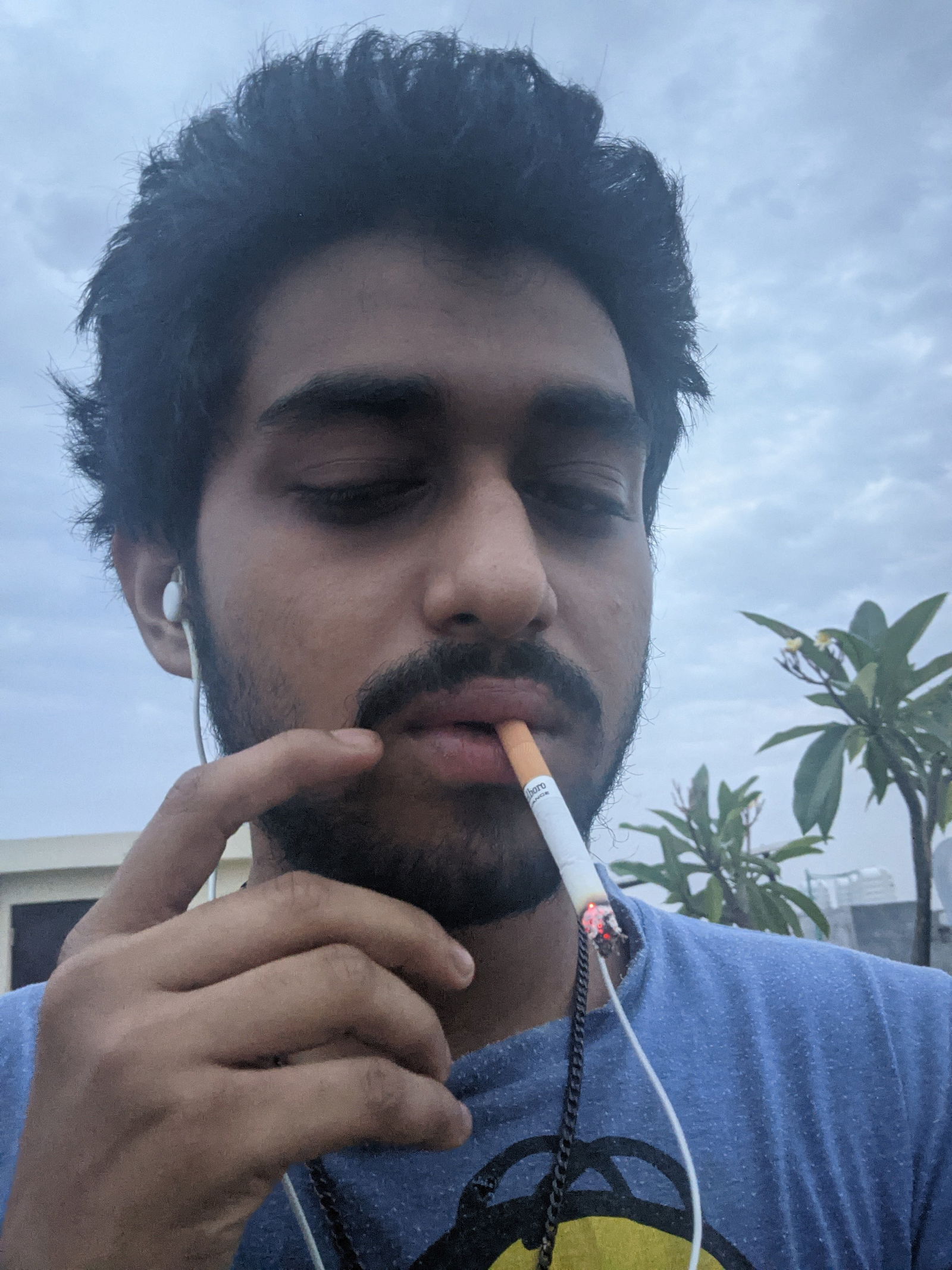 Caramel Cherry photo