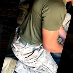 Military-style outfit with olive green base