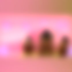 ๐ถ๏ธVCโกSEXT ALL DAY ๐ photo