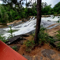 👑⁉️Quien⁉️👑 photo