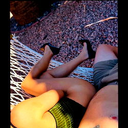 ApricotSurprise photo