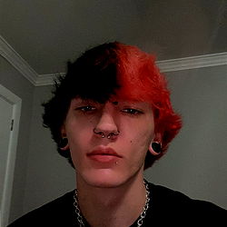 OnlyFans Model Brad :3 from Florida