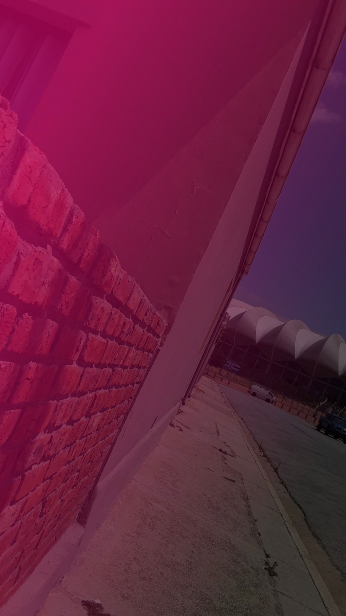 Lilbuddy971119 photo