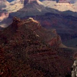 carbon monoxide photo