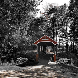 Big Bearded Kinky Male In NH photo