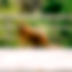 ๐ก๏ธSweet Valkiria VIP๐ก๏ธ photo