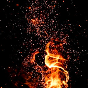 Andrรฉs Fitt photo