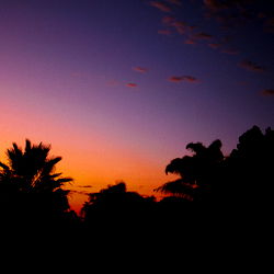 Anonymous Andrea photo