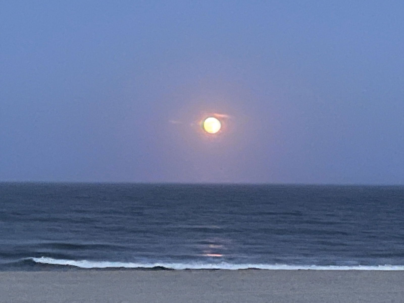 SoleTeacher411 photo