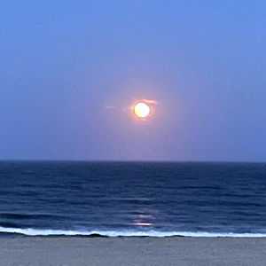 SoleTeacher411 photo