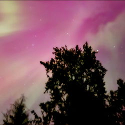 PlantsandNudes photo