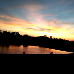 Matheus Pavone photo