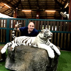 Man Taking Selfie with Tiger in Zoo