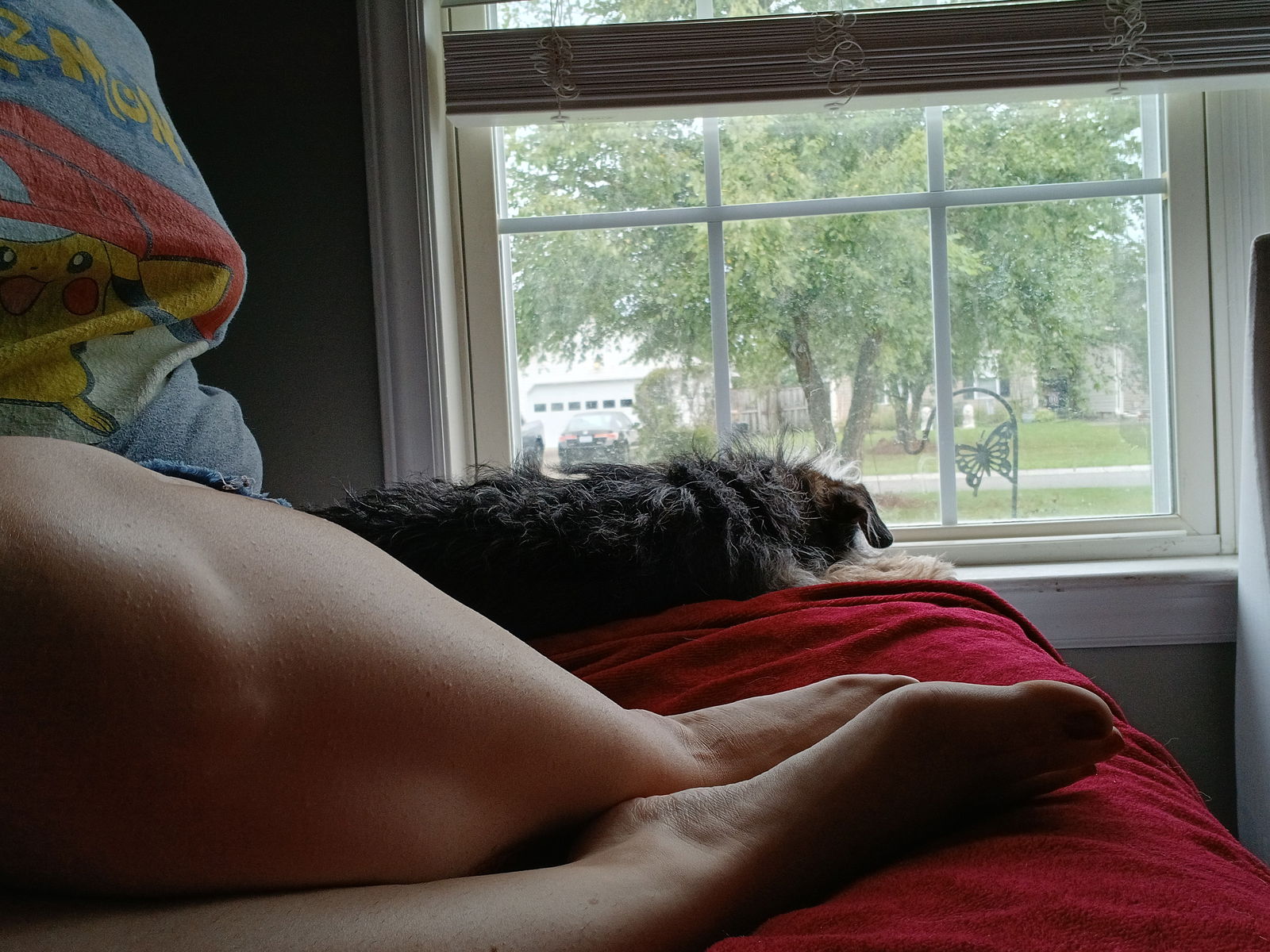 Paramour Next Door photo