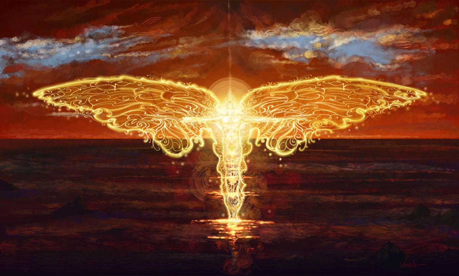 Curves of Venus photo